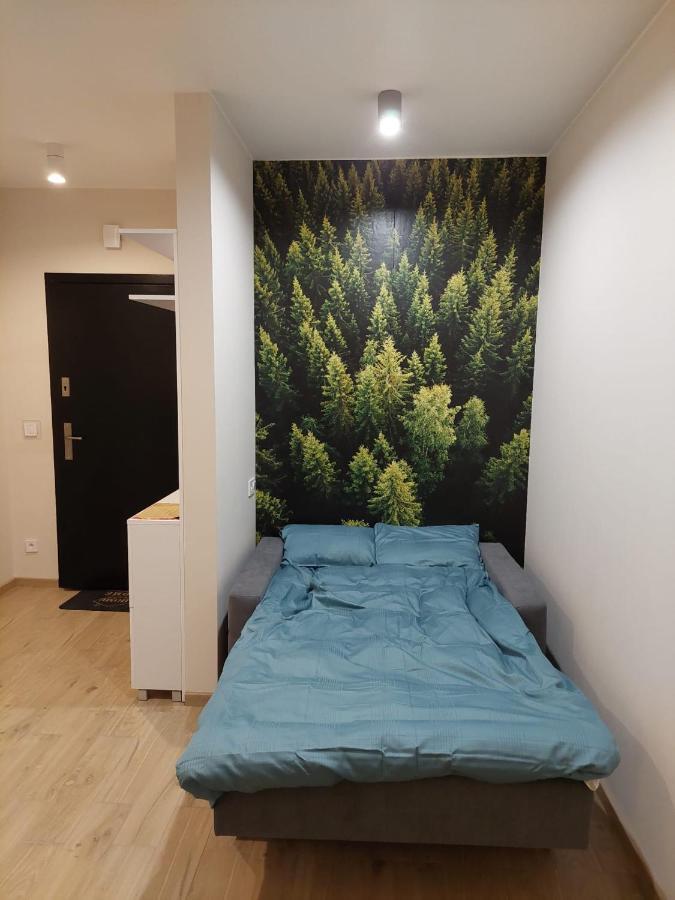 Apartament Pod Gora Szyndzielnia , Debowiec Бельсько-Бяла Екстер'єр фото