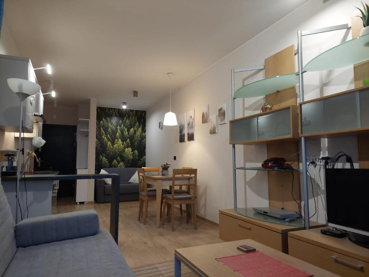 Apartament Pod Gora Szyndzielnia , Debowiec Бельсько-Бяла Екстер'єр фото